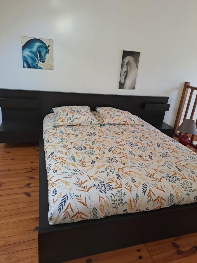 La Vauterie Villa Saint-Martin-de-Cenilly Ngoại thất bức ảnh